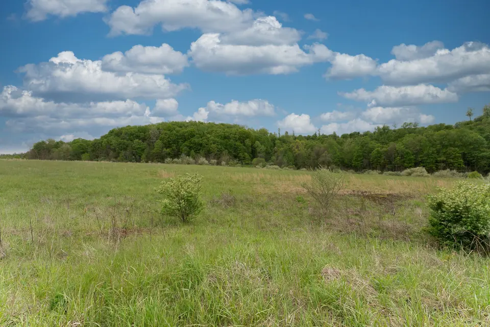 Cleared field with wooded ridgeline