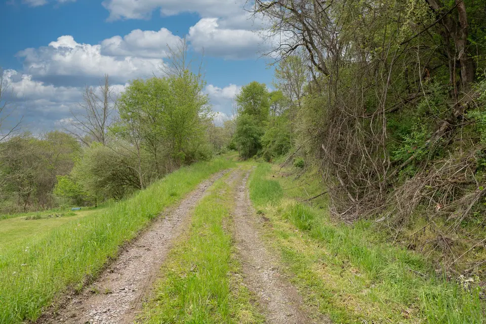 Graveled drive through the woods